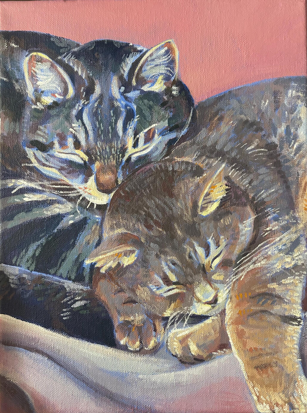 "Clare's Cats"